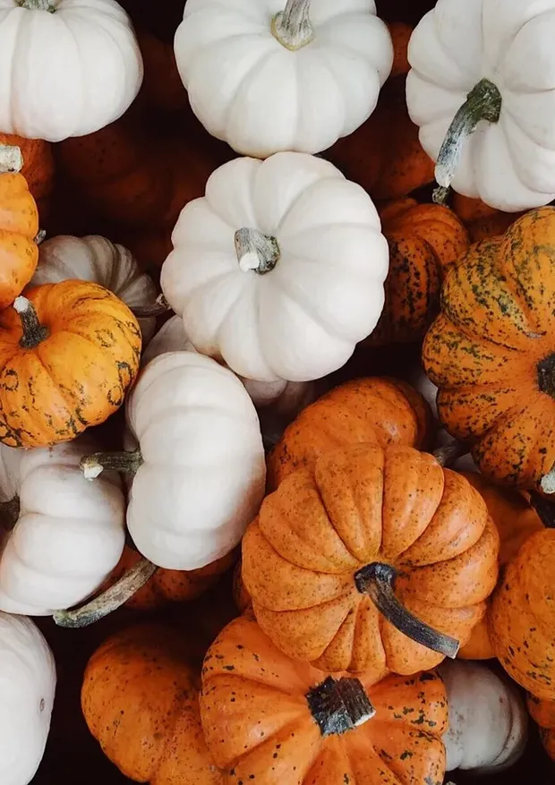 Eating seasonally food calendar.