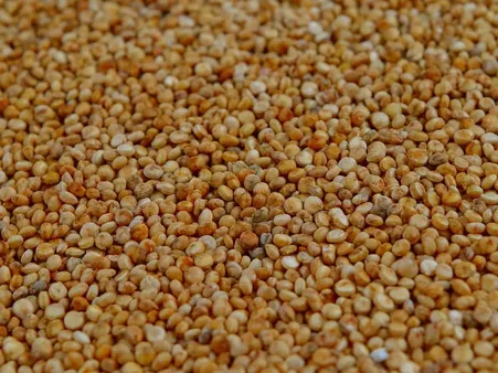 QUINOA SALAD