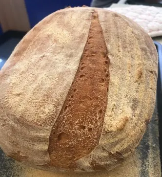 Freshly baked sourdough loaf